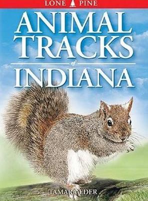 Animal Tracks of Indiana - Tamara Eder