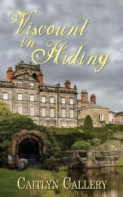 Viscount in Hiding - Caitlyn Callery