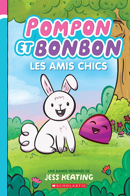 Pompon Et Bonbon N° 1 - Les Amis Chics - Jess Keating