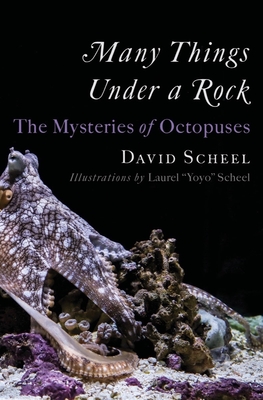 Many Things Under a Rock: The Mysteries of Octopuses - David Scheel