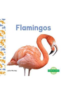 Coperta cărții 'Flamingos - Julie Murray'