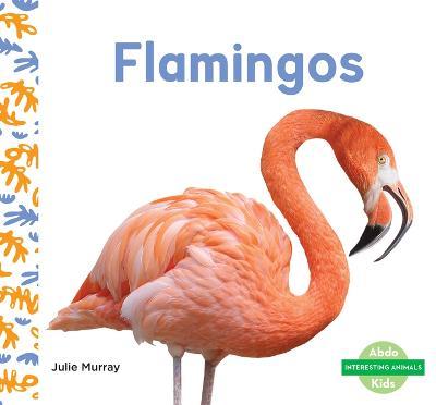 Flamingos - Julie Murray
