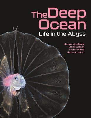 The Deep Ocean: Life in the Abyss - Louise Allcock