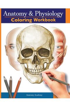 Anatomy and Physiology Coloring Workbook: The Essential College Level Study Guide Perfect Gift for Medical School Students, Nurses and Anyone Interest - Anatomy Academy