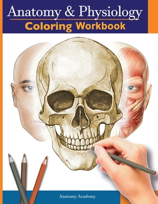 Anatomy and Physiology Coloring Workbook: The Essential College Level Study Guide Perfect Gift for Medical School Students, Nurses and Anyone Interest - Anatomy Academy
