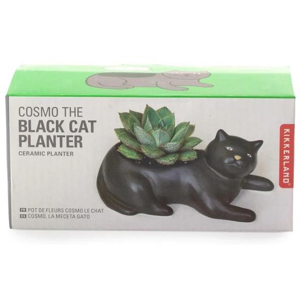 Ghiveci Cosmo. The Black Cat Planter