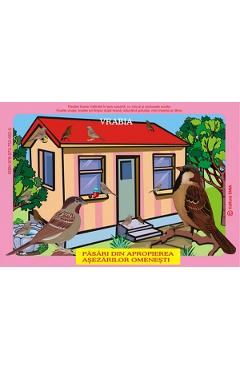 Poza produsului Planse: Pasari din fauna Romaniei care traiesc in apropierea asezarilor omenesti - Olivia Campean, Iustina Mirescu