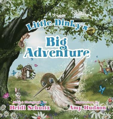 Little Dinky's Big Adventure - Heidi Schultz
