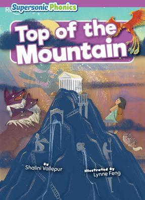 Top of the Mountain - Shalini Vallepur