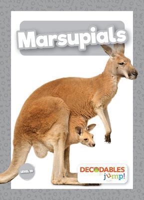 Marsupials - Madeline Tyler