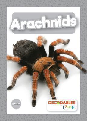 Arachnids - Joanna Brundle