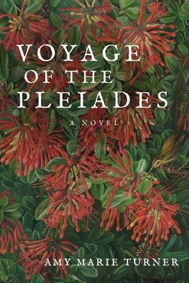 Voyage of the Pleiades - Amy Marie Turner