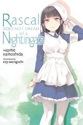 Rascal Does Not Dream of a Nightingale (Light Novel) - Hajime Kamoshida