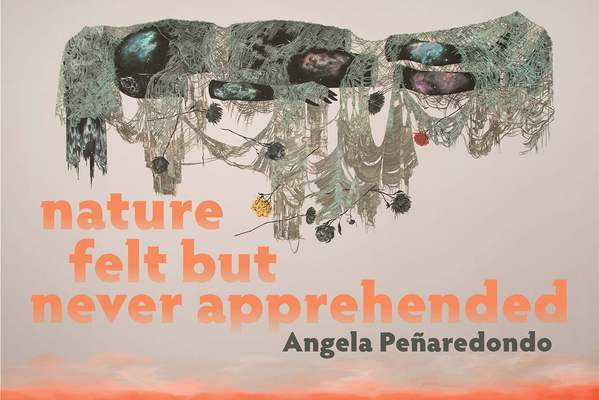 Nature Felt But Never Apprehended - Angela Pearedondo