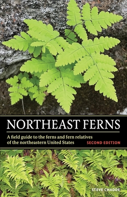 Northeast Ferns - Steve W. Chadde