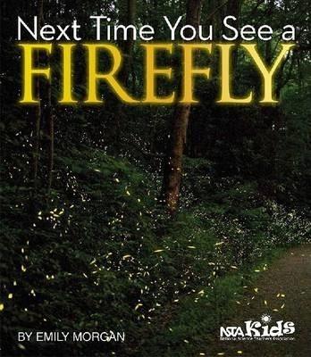 Next Time You See a Firefly - Emily Morgan