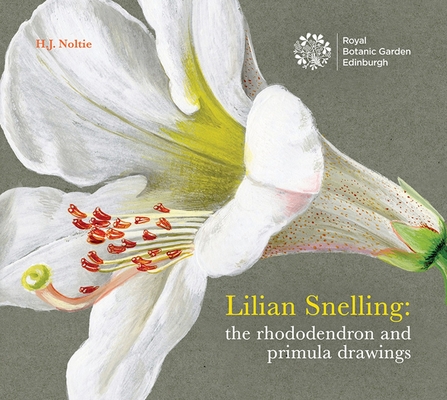 Lillian Snelling: The Rhododendron and Primula Drawings - Henry Noltie