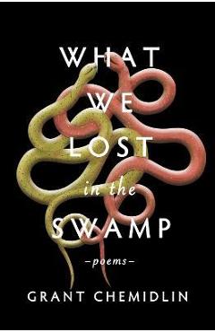 What We Lost in the Swamp: Poems - Grant Chemidlin 