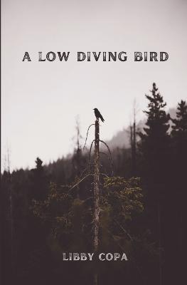 A Low Diving Bird - Libby Copa