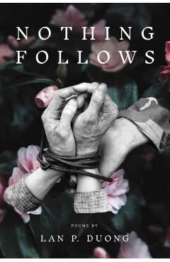 Nothing Follows - Lan P. Duong