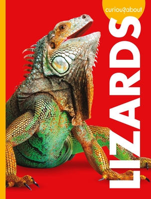 Curious about Lizards - Alissa Thielges