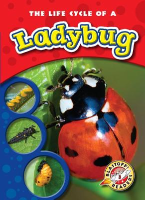 The Life Cycle of a Ladybug - Colleen Sexton