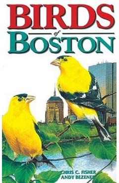 Birds of Boston - Chris Fisher