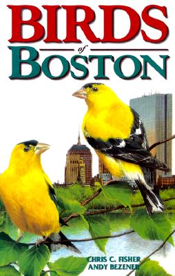 Birds of Boston - Chris Fisher