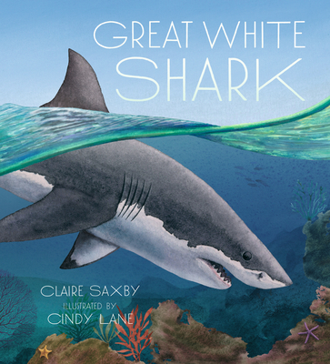 Great White Shark - Claire Saxby