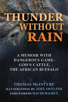 Thunder Without Rain: A Memoir with Dangerous Game, God's Cattle, the African Buffalo - Thomas Mcintyre