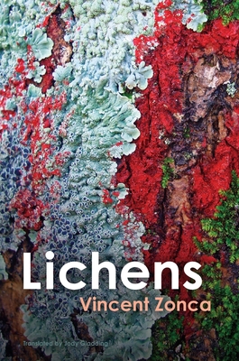 Lichens: Toward a Minimal Resistance - Vincent Zonca