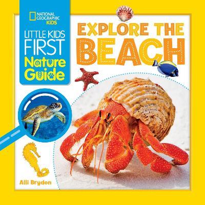 Explore the Beach - Alli Brydon