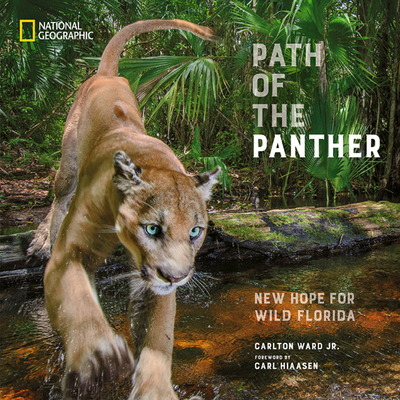 Path of the Panther: New Hope for Wild Florida - Carlton Ward Jr