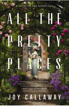 All the Pretty Places: A Novel of the Gilded Age - Joy Callaway