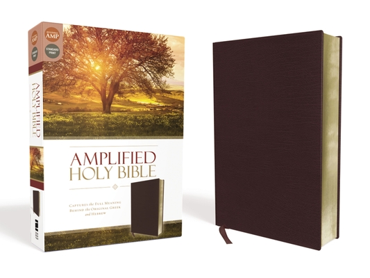 Amplified Bible-Am: Captures the Full Meaning Behind the Original Greek and Hebrew - Zondervan