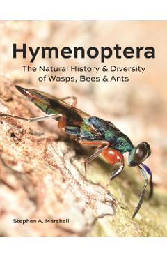 Hymenoptera: The Natural History and Diversity of Wasps, Bees and Ants - Stephen A. Marshall