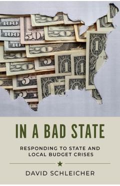 In a Bad State: Responding to State and Local Budget Crises - David Schleicher