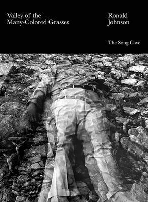 Valley of the Many-Colored Grasses - Ronald Johnson