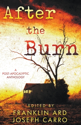 Coperta cărții 'After the Burn - Franklin Ard'