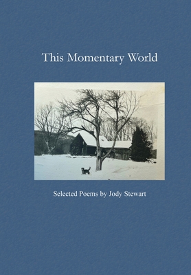 This Momentary World - Jody Stewart