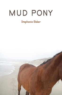 Mud Pony - Stephanie Baker
