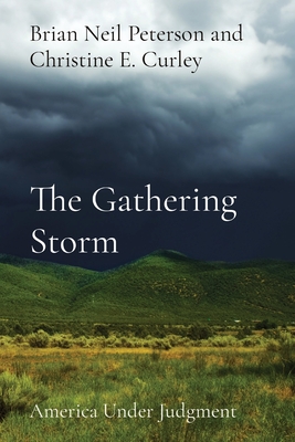 The Gathering Storm: America Under Judgment - Brian Neil Peterson