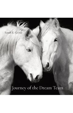 Coperta cărții 'Journey of the Dream Team - Sarah E. Grote'