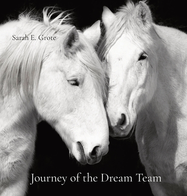 Coperta cărții 'Journey of the Dream Team - Sarah E. Grote'