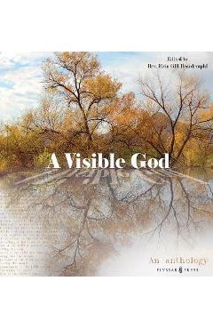 Coperta cărții 'A Visible God - Erin Beardempl'