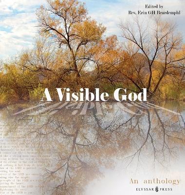 Coperta cărții 'A Visible God - Erin Beardempl'