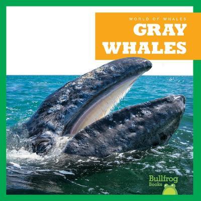 Gray Whales - Eliza Leahy