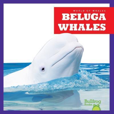 Beluga Whales - Katie Chanez