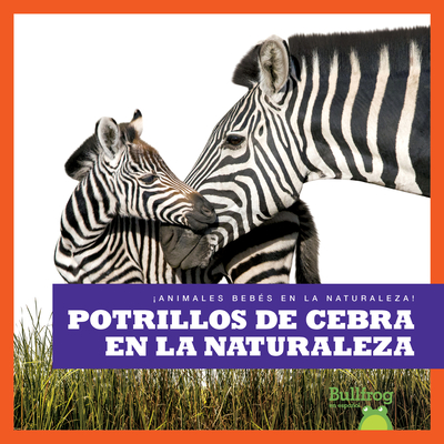 Potrillos de Cebra En La Naturaleza (Zebra Foals in the Wild) - Marie Brandle