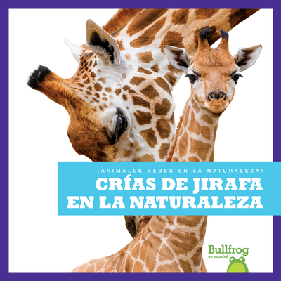 Crías de Jirafa En La Naturaleza (Giraffe Calves in the Wild) - Marie Brandle